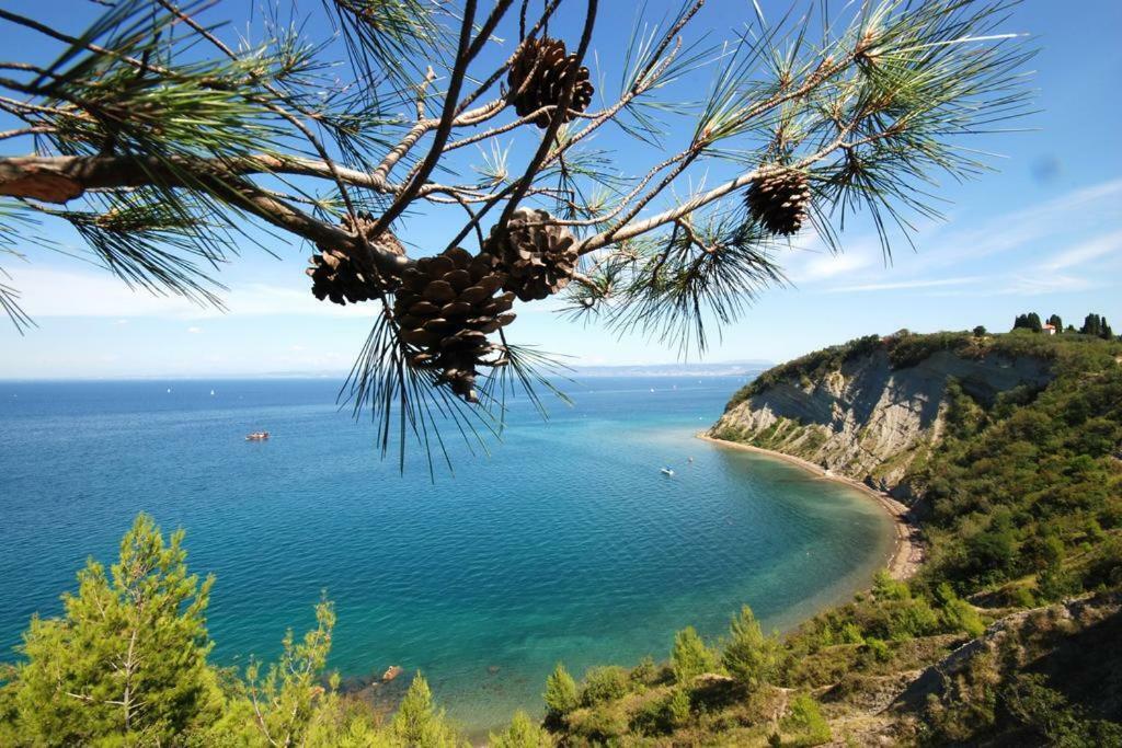 Apartment Lunaja Piran Dış mekan fotoğraf